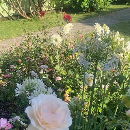 De Charme Jardin Vue Sur Montagnes Renovation 2026 *