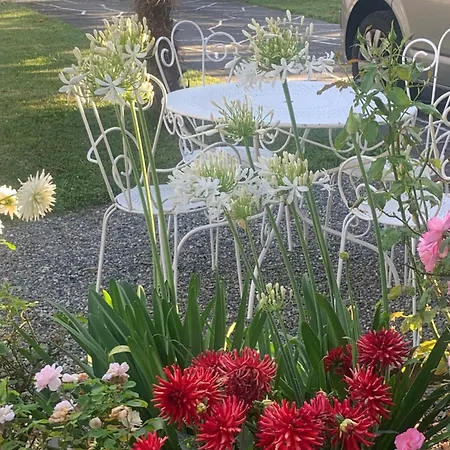 D'azun Holiday home Argeles-Gazost